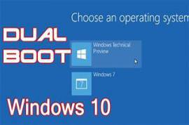 Windows 11/10/8.1 Professional + Office 2021/2019 Dual Boot pt-B