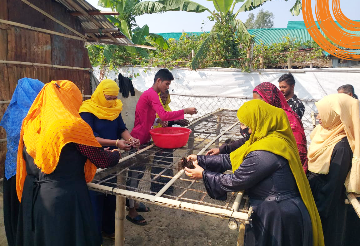 Innovision Drives Seaweed Value Chain Development in Bangladesh