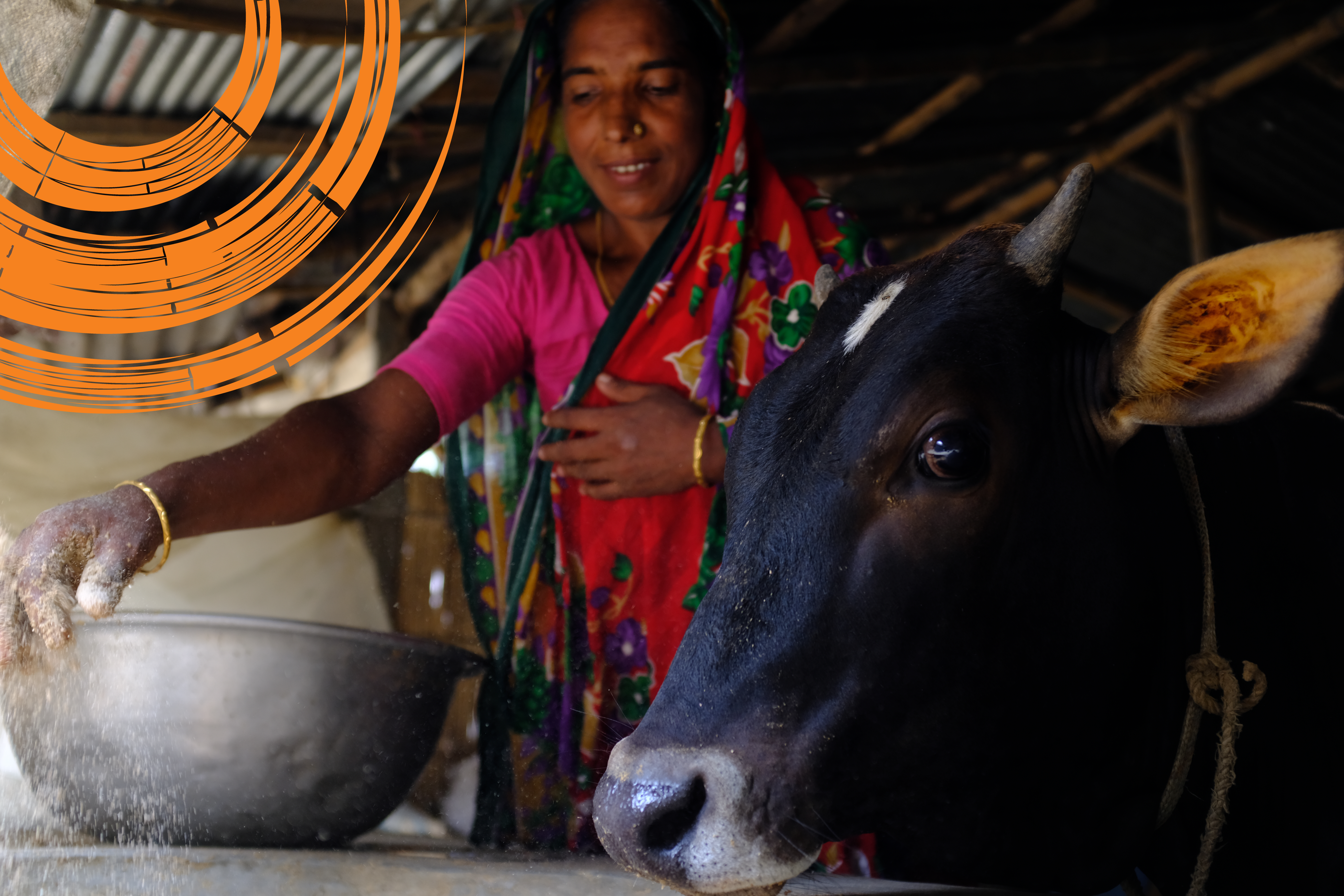 Bridging the Financial Gap: Enhancing Access to Finance for Bangladesh’s Livestock Sector