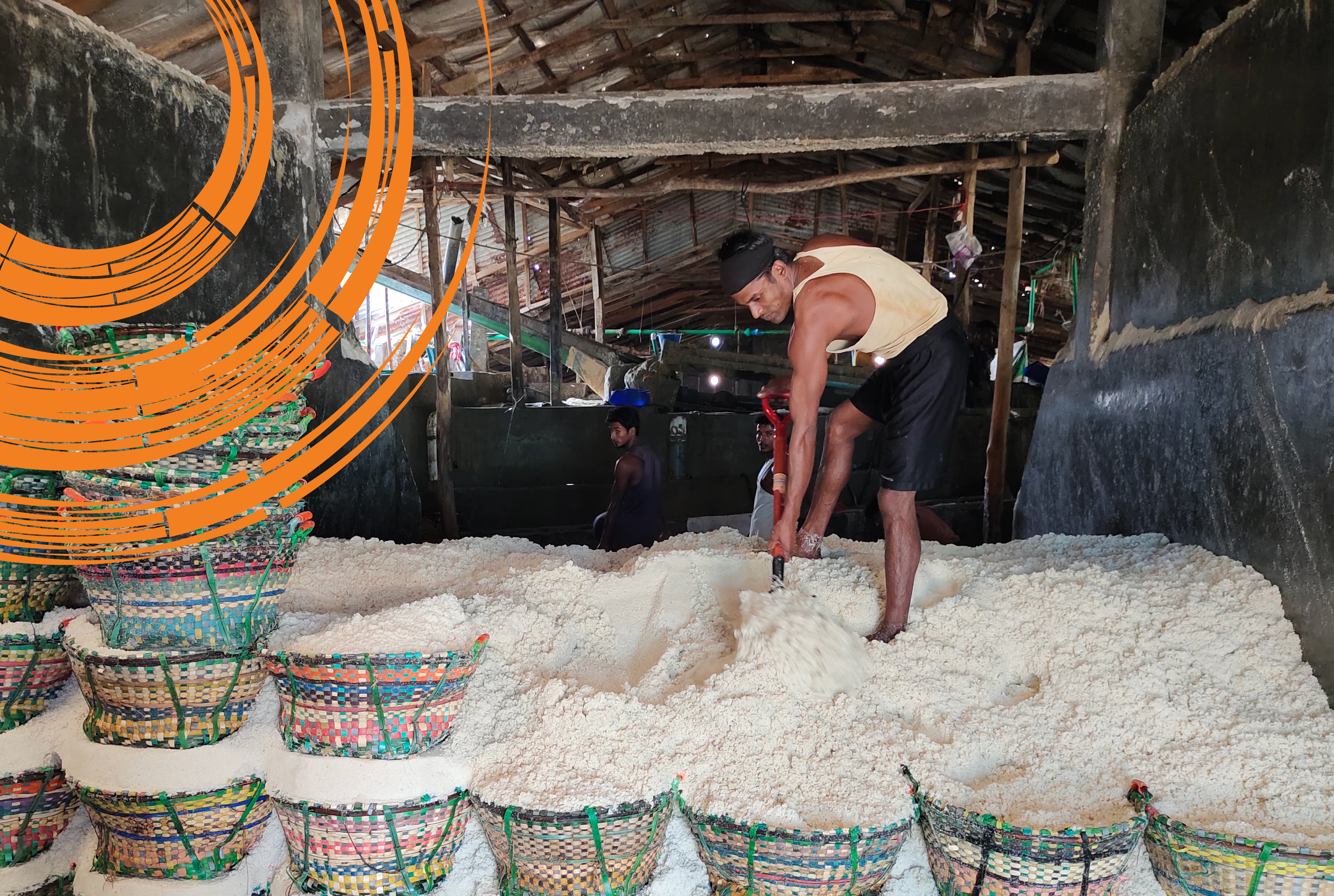 ILO and Innovision Collaborate to Support Salt Mill Workers and Seaweed Farmers in Cox’s Bazar